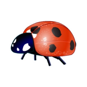 Red Ladybug